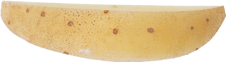 じゃがいも｜商用可フリー画像・背景透過