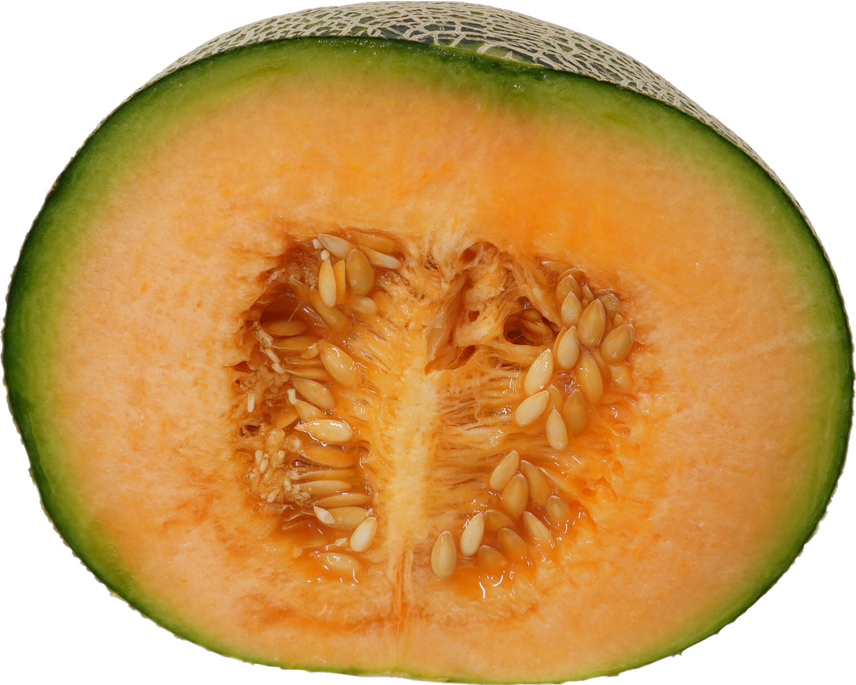 メロン｜商用可フリー画像・背景透過