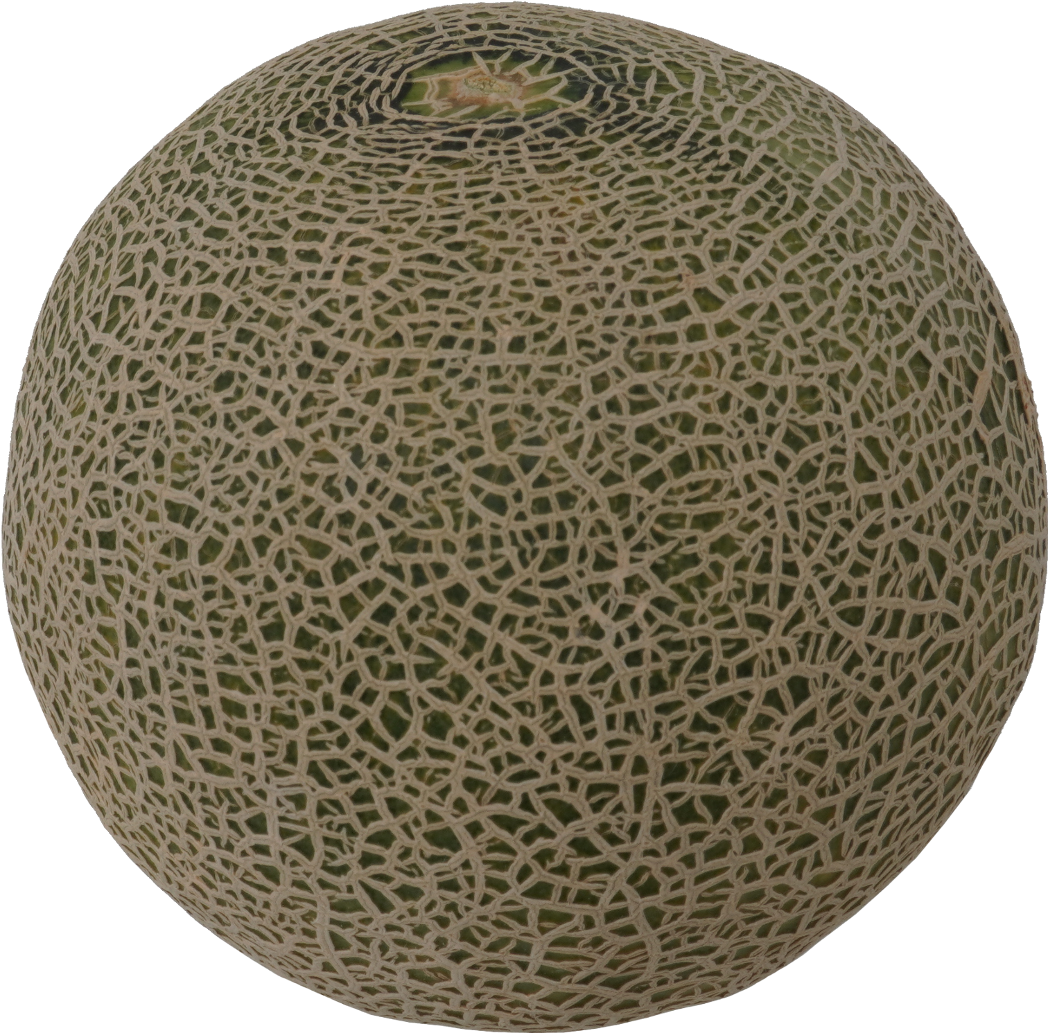 メロン｜商用可フリー画像・背景透過