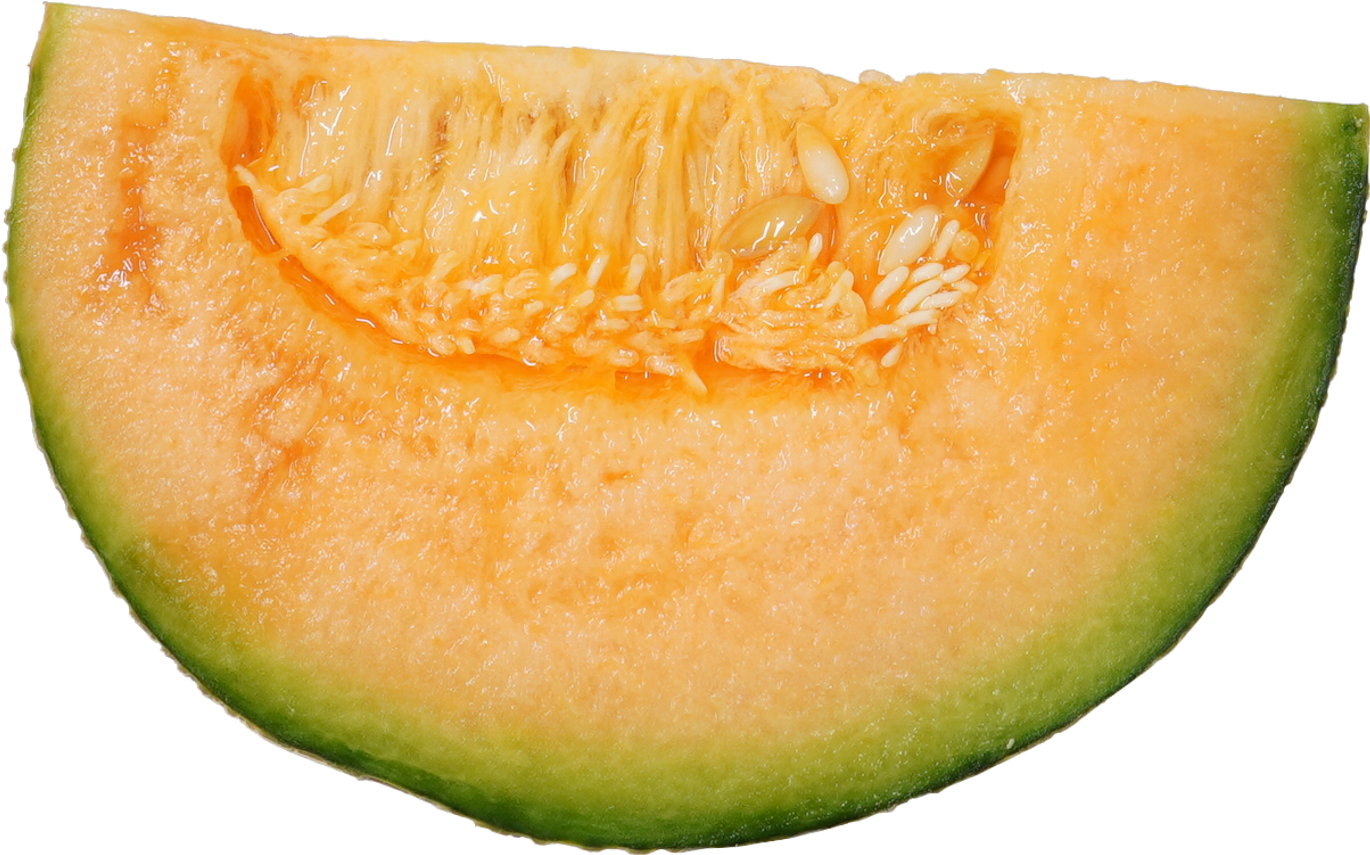 メロン｜商用可フリー画像・背景透過