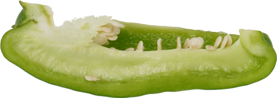 青ピーマン｜商用可フリー画像・背景透過