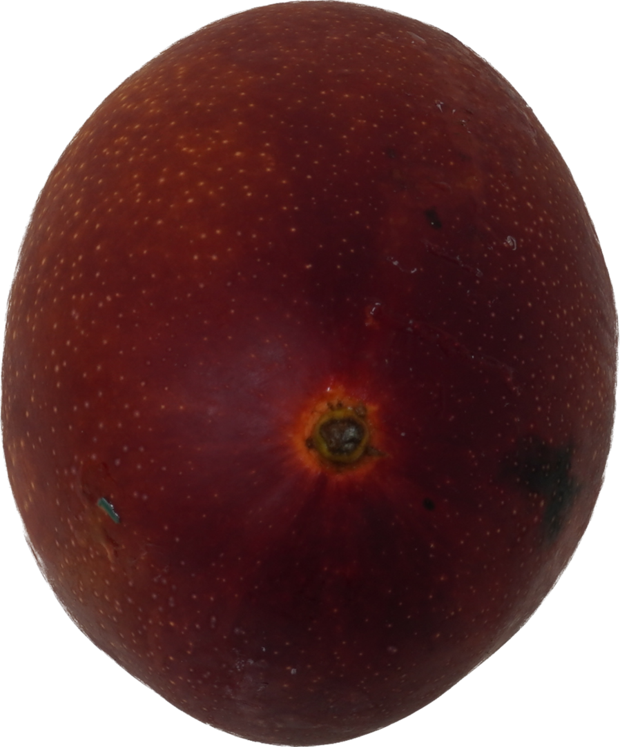 マンゴー｜商用可フリー画像・背景透過