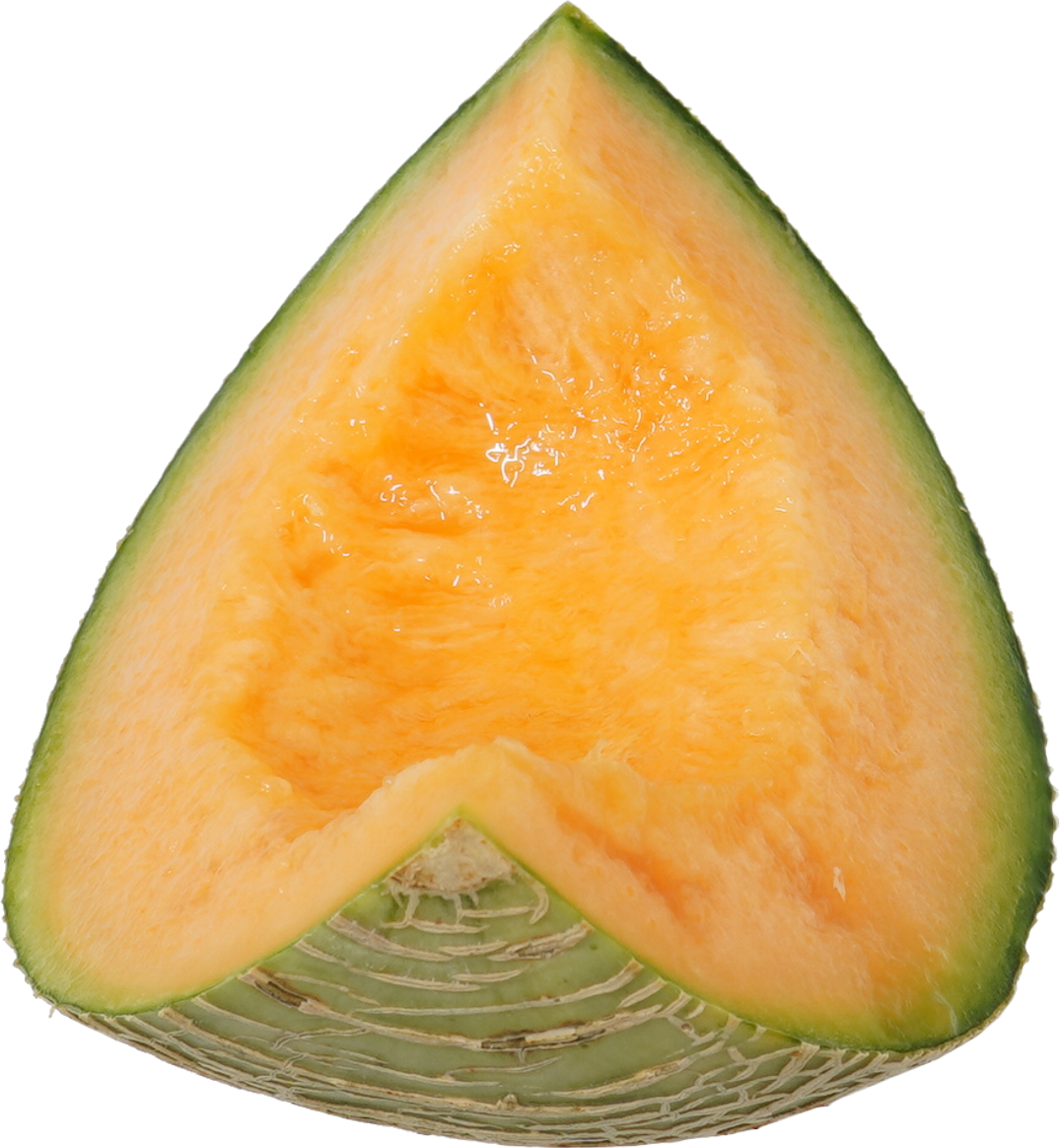 メロン｜商用可フリー画像・背景透過