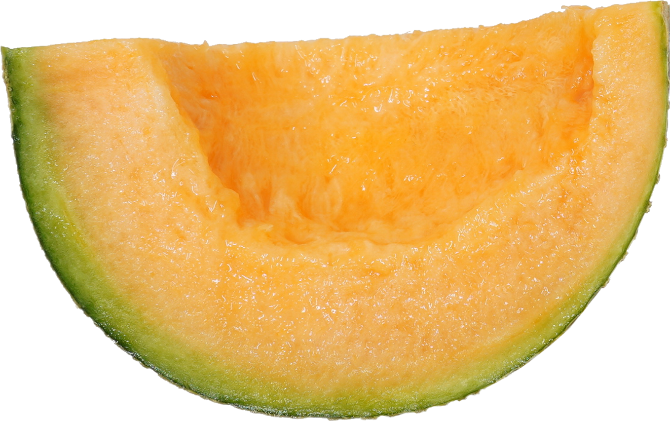 メロン｜商用可フリー画像・背景透過
