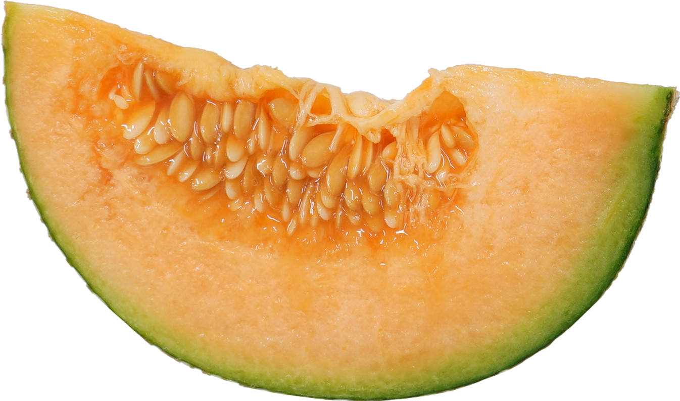 メロン｜商用可フリー画像・背景透過