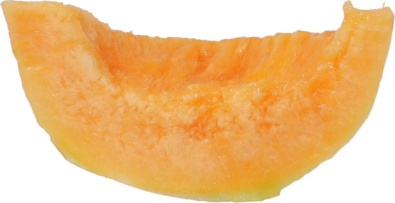 メロン｜商用可フリー画像・背景透過