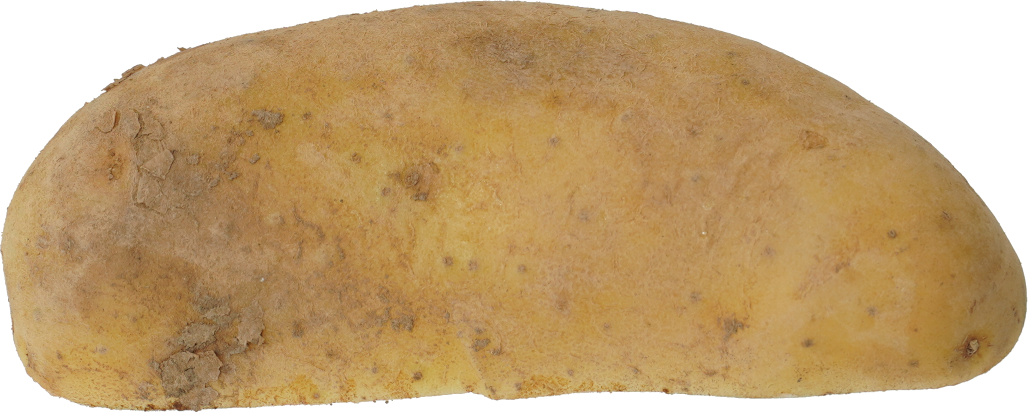 じゃがいも｜商用可フリー画像・背景透過