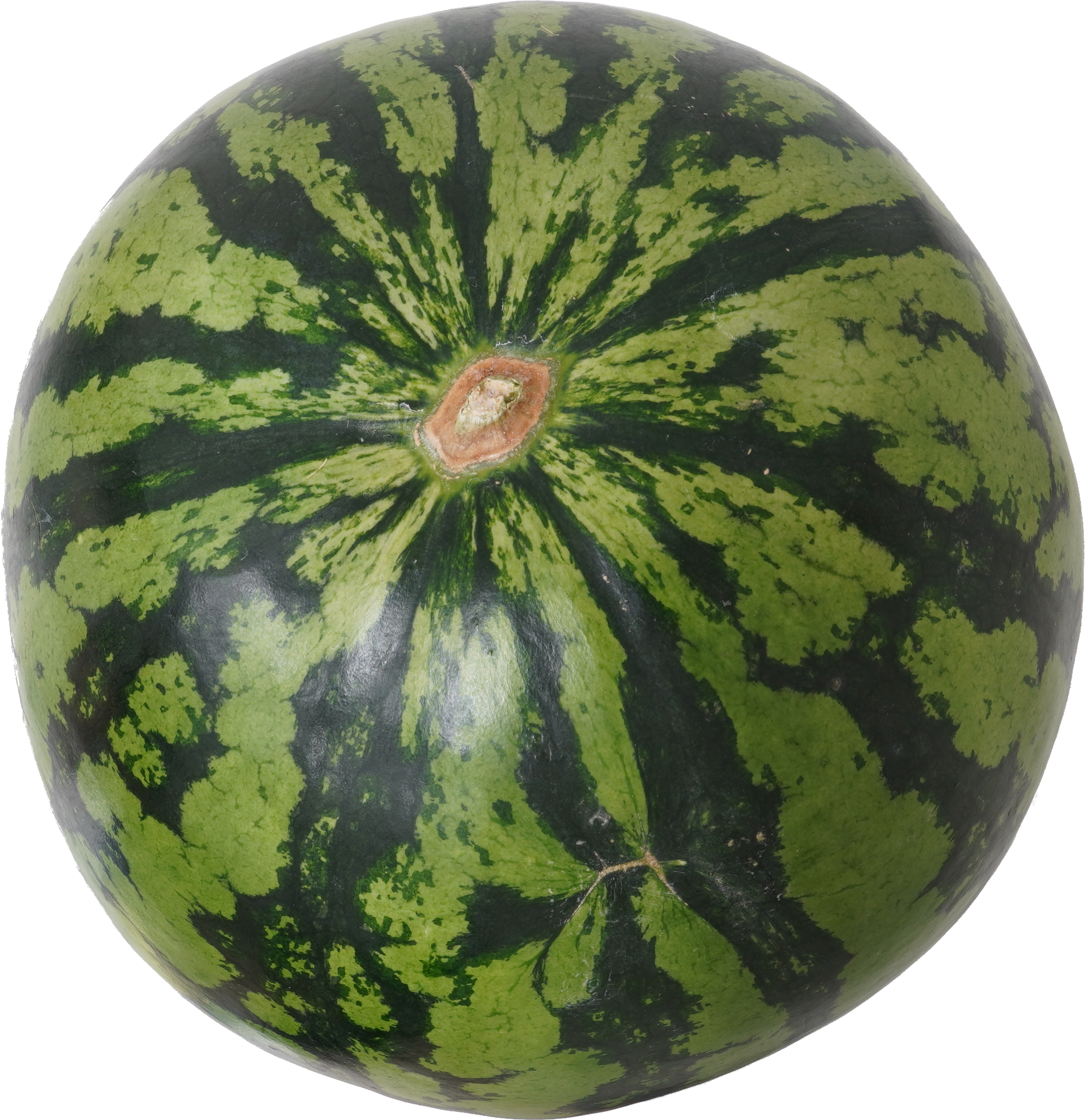 すいか｜商用可フリー画像・背景透過