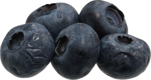 ブルーベリー｜商用可フリー画像・背景透過