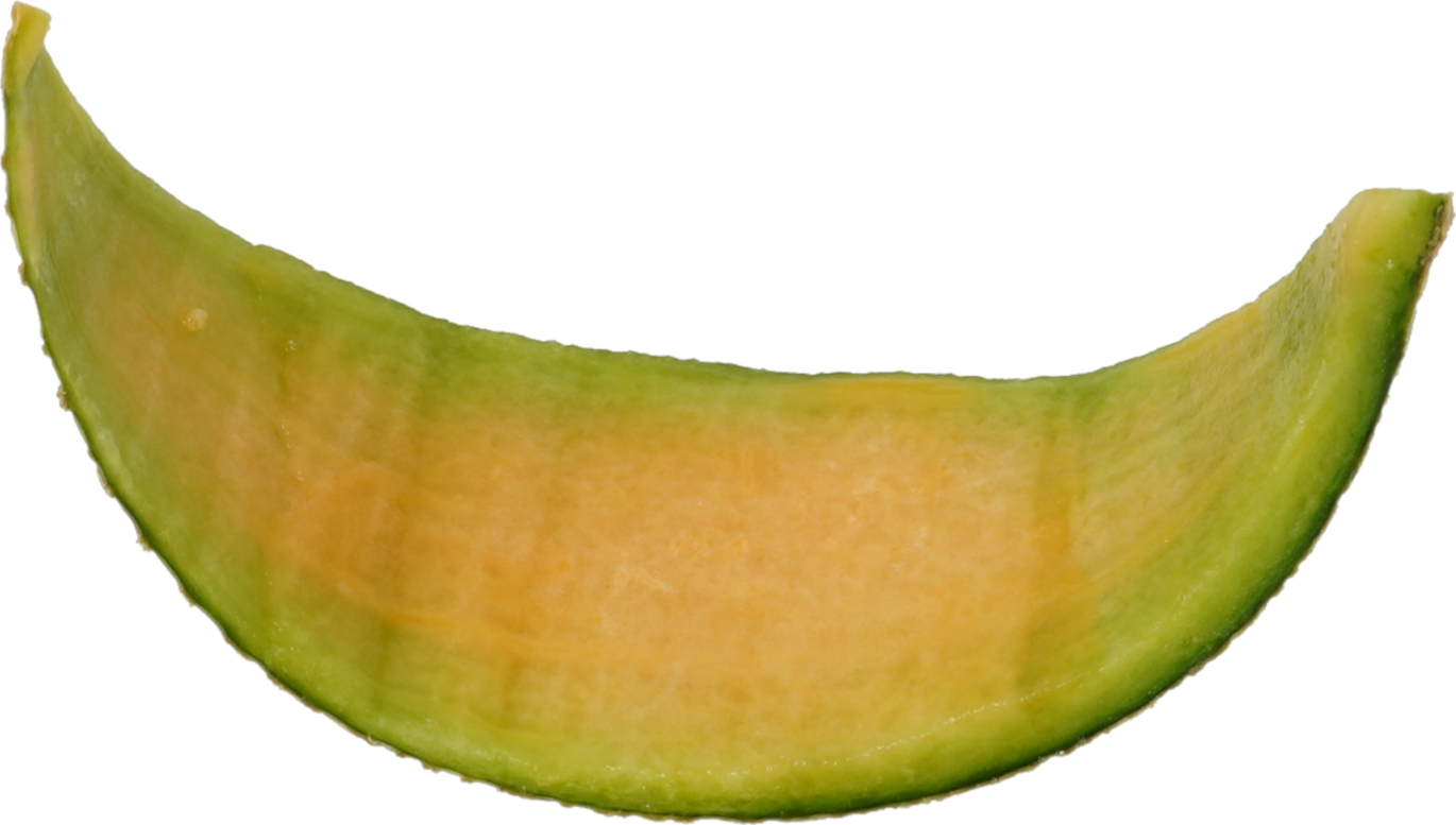 メロン｜商用可フリー画像・背景透過