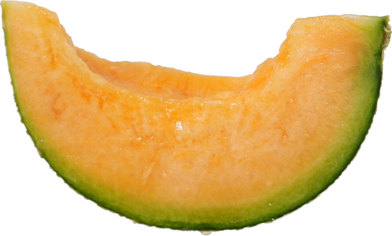 メロン｜商用可フリー画像・背景透過