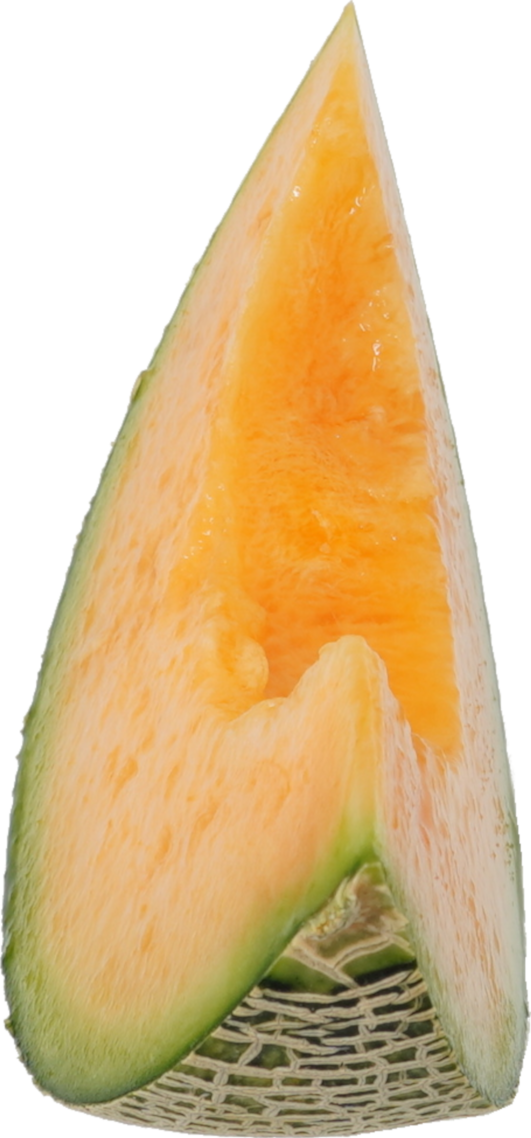 メロン｜商用可フリー画像・背景透過