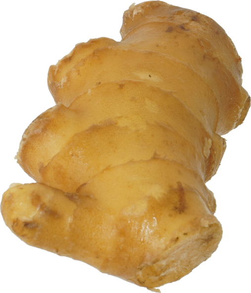 しょうが｜商用可フリー画像・背景透過