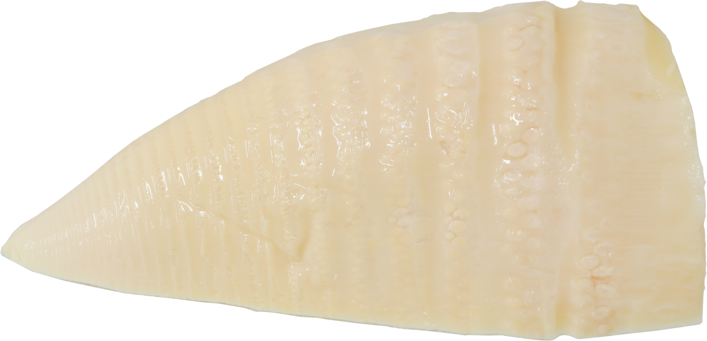 たけのこ（水煮）｜商用可フリー画像・背景透過