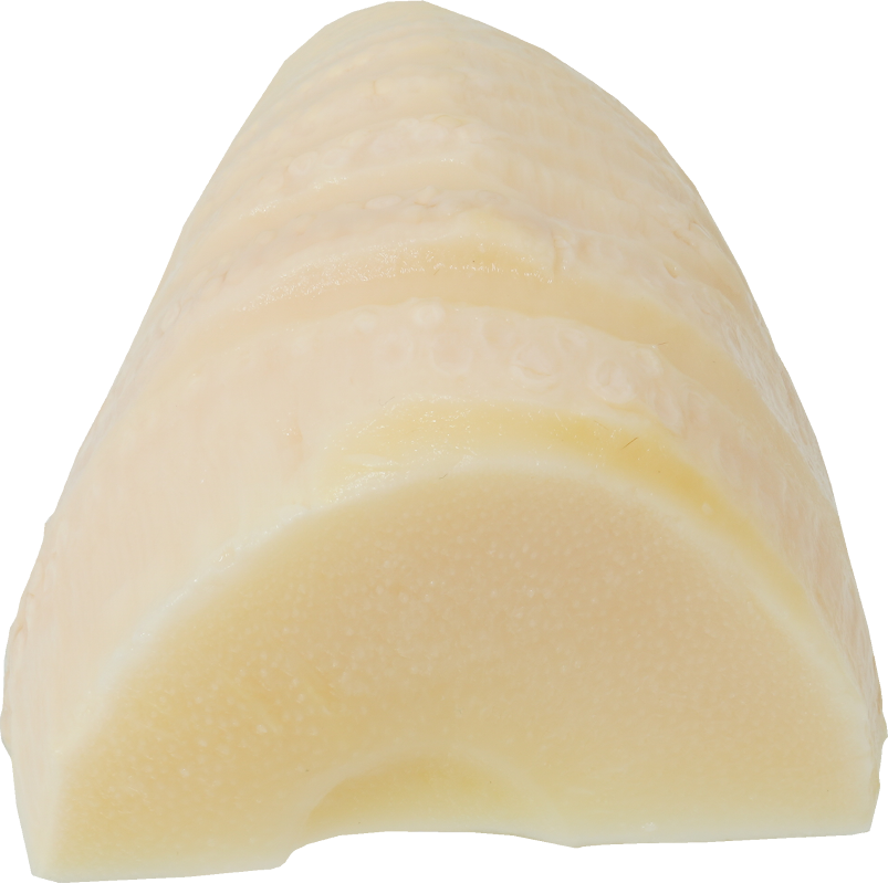 たけのこ（水煮）｜商用可フリー画像・背景透過