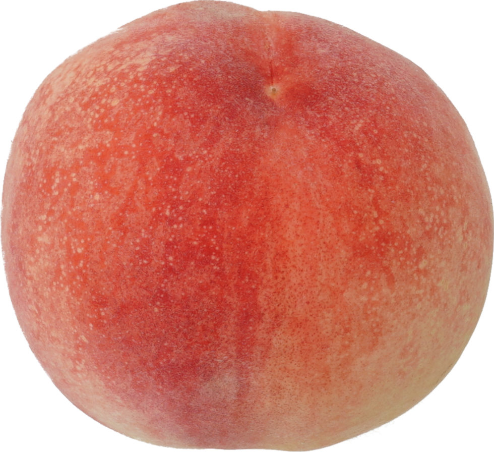 もも｜商用可フリー画像・背景透過