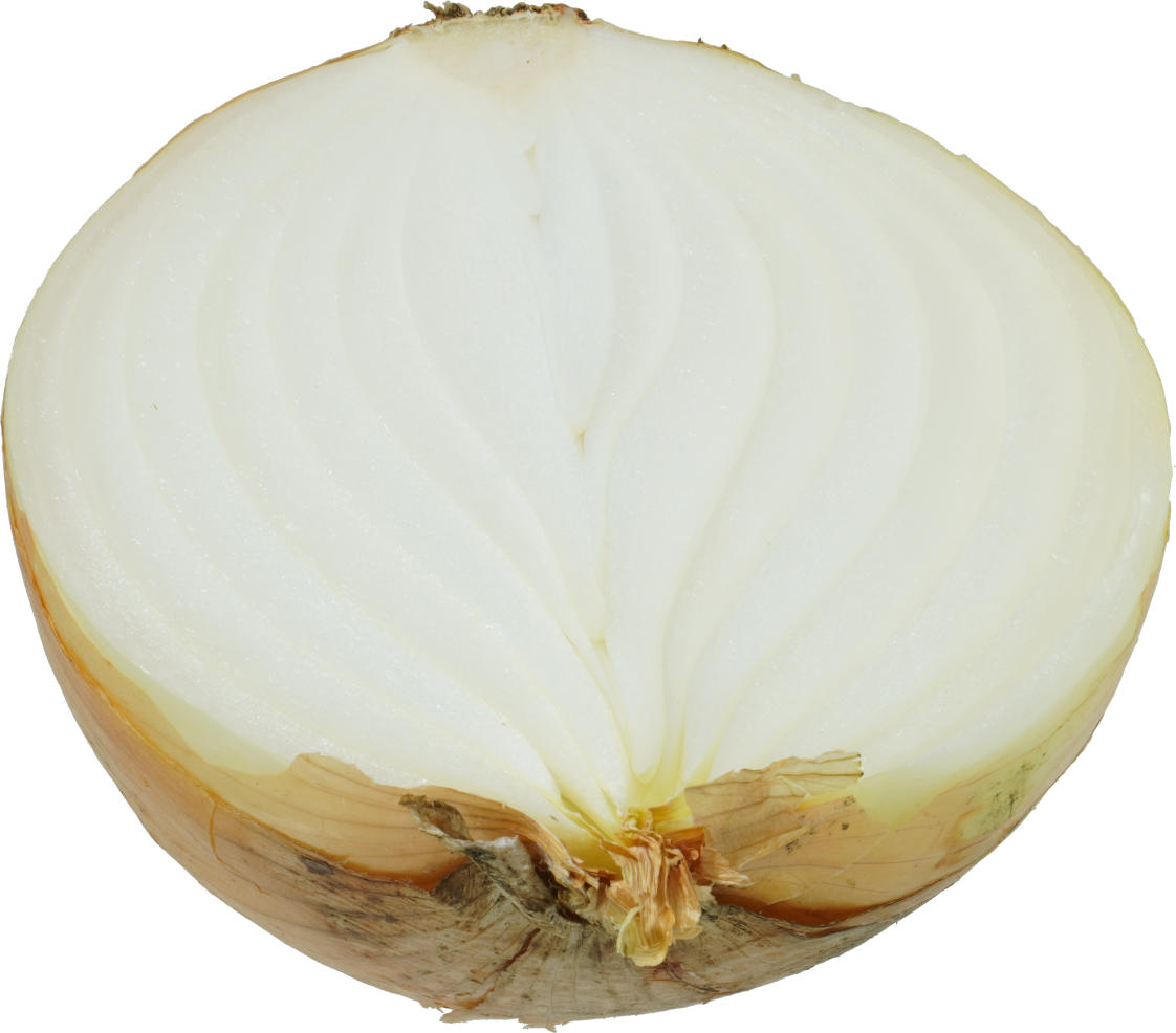 たまねぎ｜商用可フリー画像・背景透過