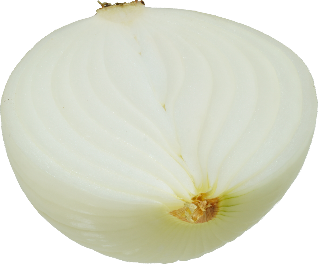 たまねぎ｜商用可フリー画像・背景透過