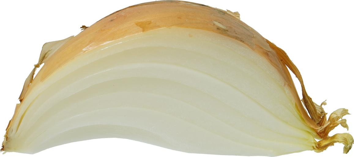 たまねぎ｜商用可フリー画像・背景透過