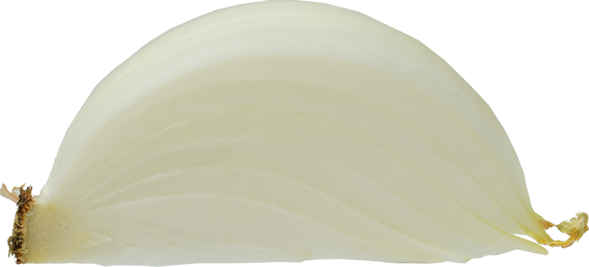 たまねぎ｜商用可フリー画像・背景透過