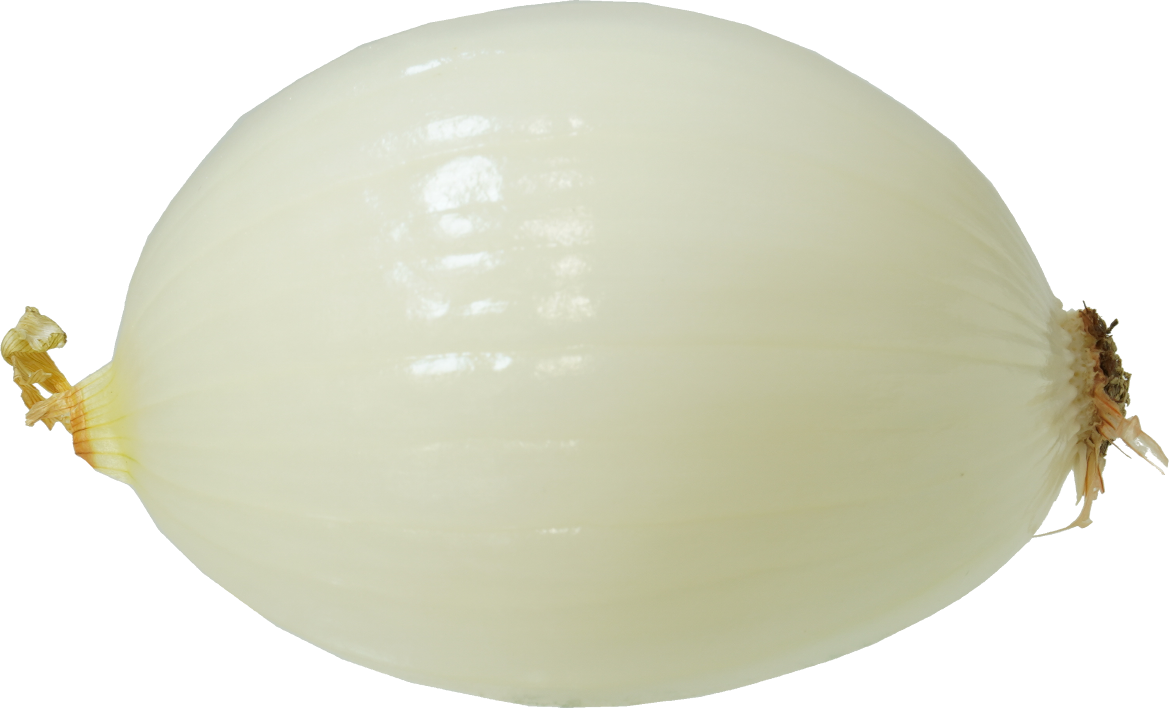 たまねぎ｜商用可フリー画像・背景透過