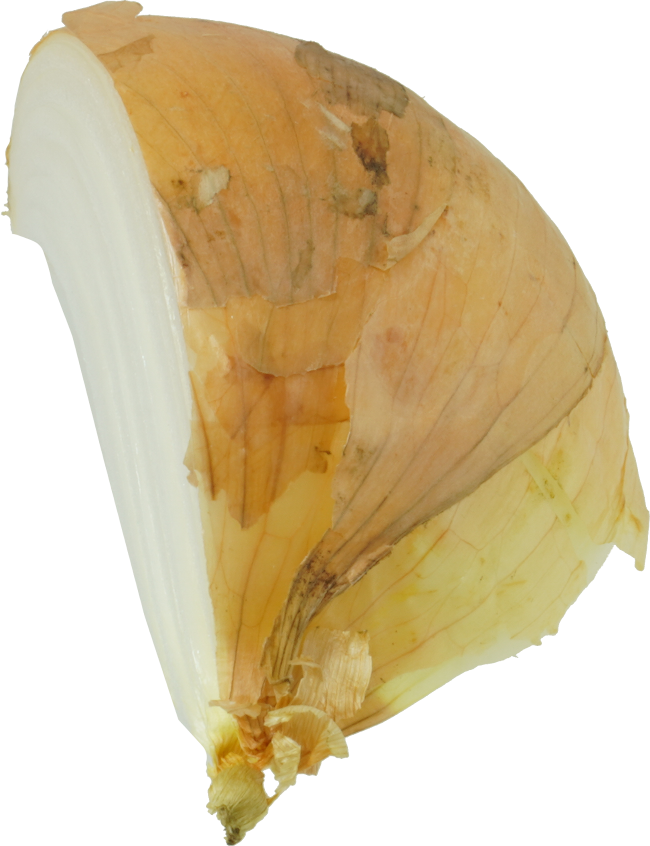 たまねぎ｜商用可フリー画像・背景透過