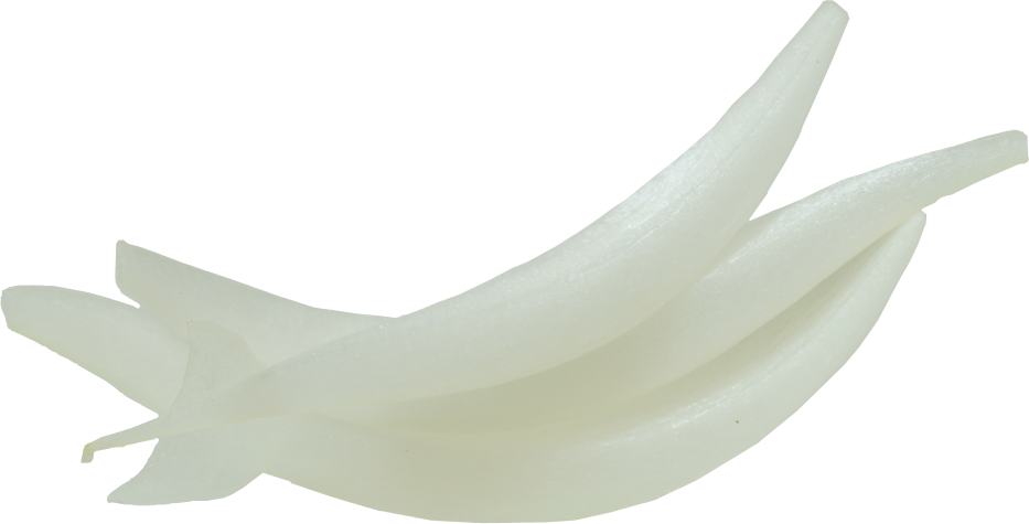 たまねぎ｜商用可フリー画像・背景透過