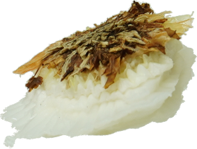 たまねぎ｜商用可フリー画像・背景透過