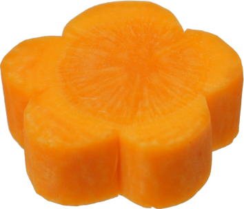 にんじん｜商用可フリー画像・背景透過