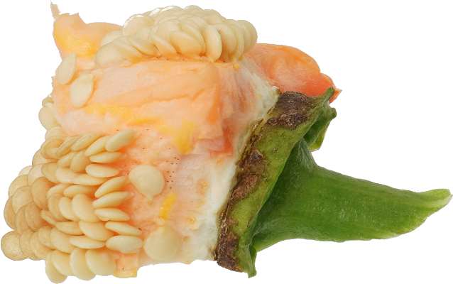 パプリカ｜商用可フリー画像・背景透過