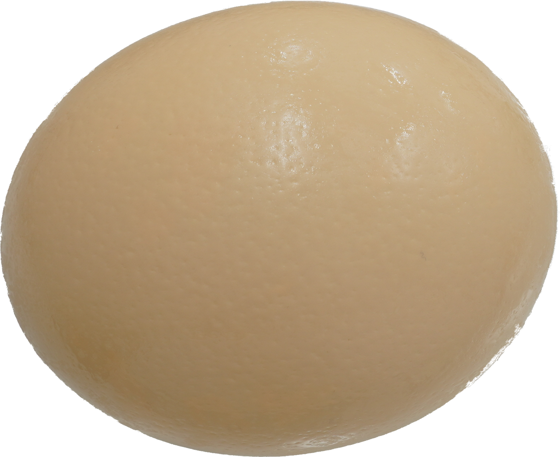 ダチョウ卵｜商用可フリー画像・背景透過