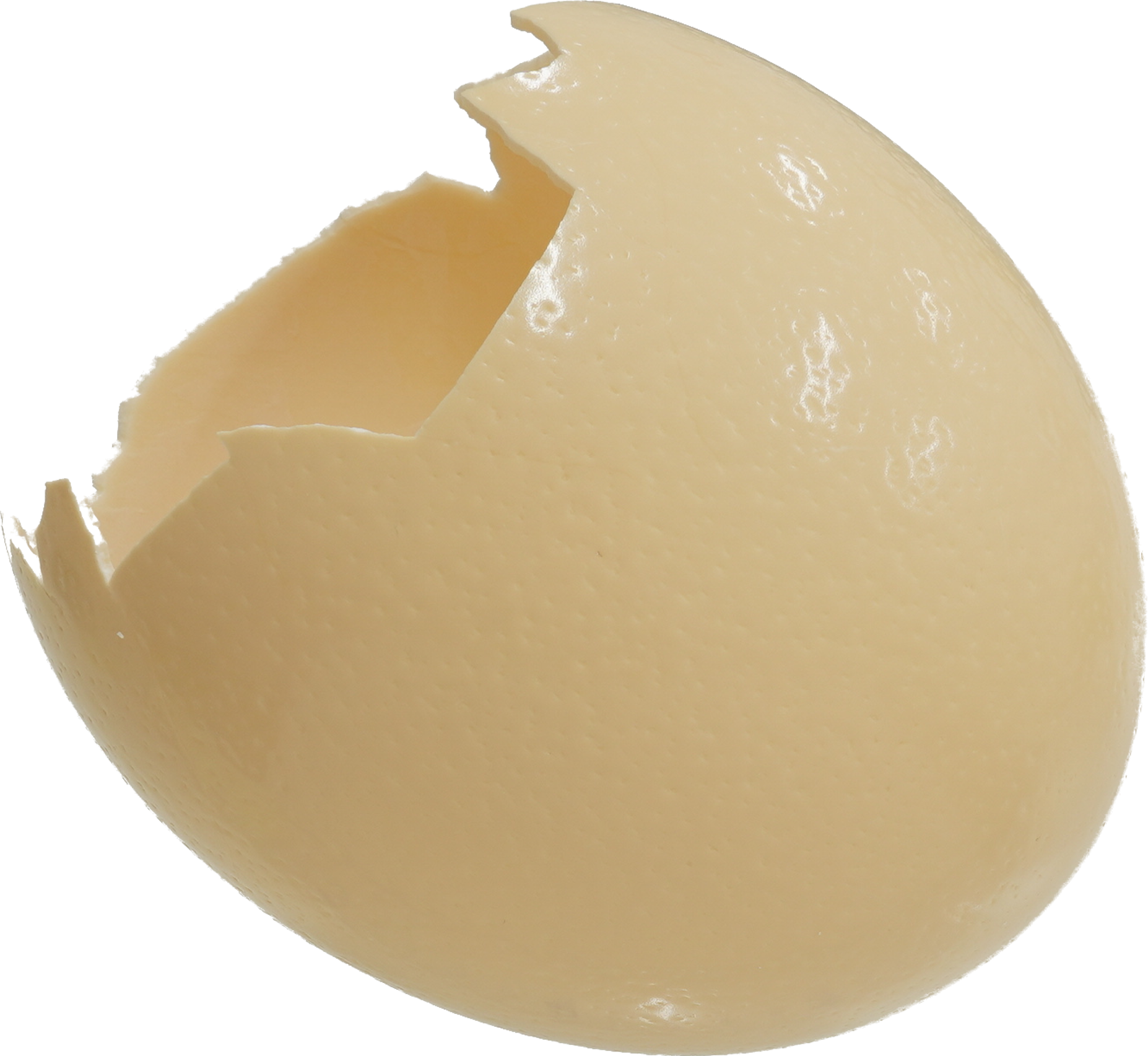 ダチョウ卵|商用可フリー画像・背景透過