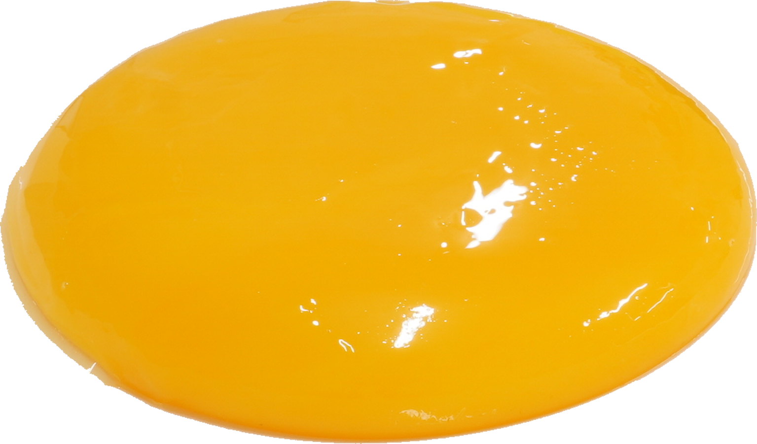 ダチョウ卵｜商用可フリー画像・背景透過