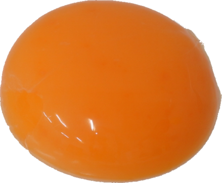 鶏卵｜商用可フリー画像・背景透過