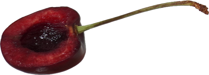 さくらんぼ(アメリカンチェリー)|商用可フリー画像・背景透過