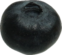 ブルーベリー｜商用可フリー画像・背景透過