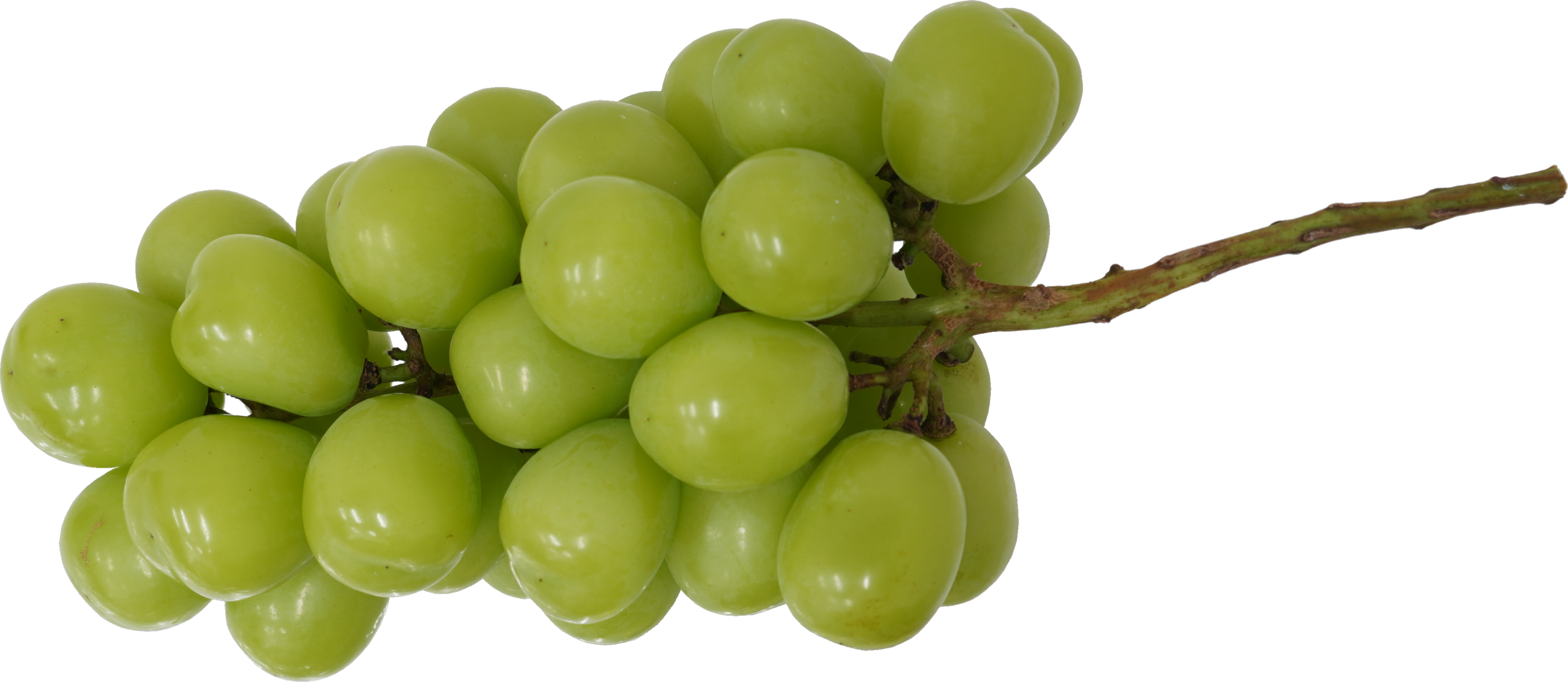 マスカット｜商用可フリー画像・背景透過