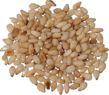 ごま（白いり）｜商用可フリー画像・背景透過