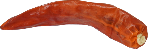 とうがらし(乾)|商用可フリー画像・背景透過