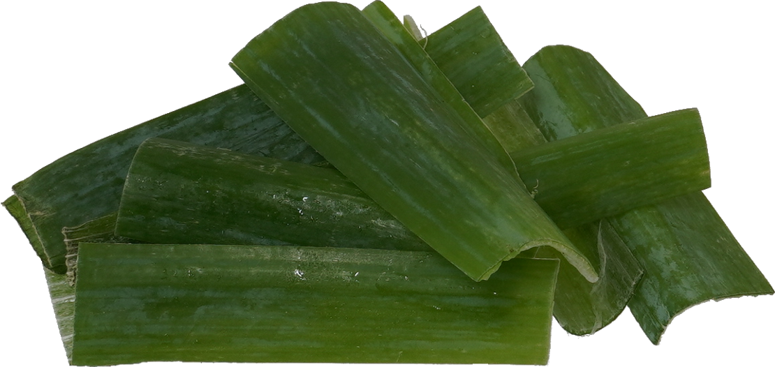 ねぎ(根深ねぎ)|商用可フリー画像・背景透過