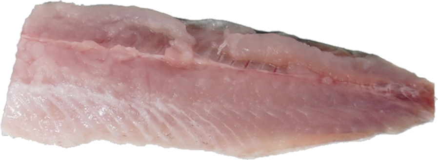 いわし｜商用可フリー画像・背景透過