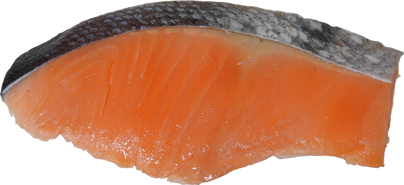 さけ・ます｜商用可フリー画像・背景透過