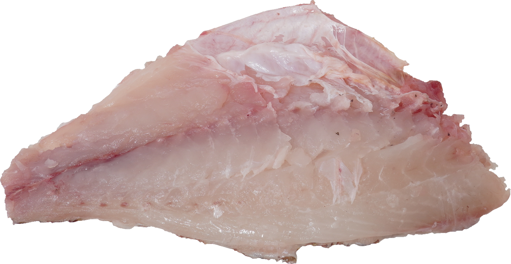 たい｜商用可フリー画像・背景透過