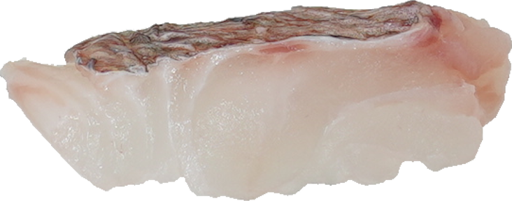 たい|商用可フリー画像・背景透過