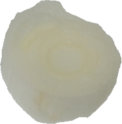 ねぎ（根深ねぎ）｜商用可フリー画像・背景透過