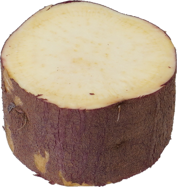 さつまいも｜商用可フリー画像・背景透過