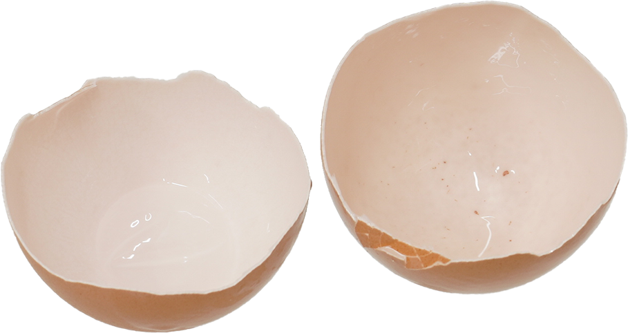 鶏卵|商用可フリー画像・背景透過