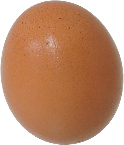 鶏卵｜商用可フリー画像・背景透過