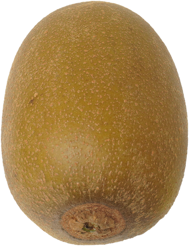 キウイフルーツ（ゴールデンキウイ）｜商用可フリー画像・背景透過