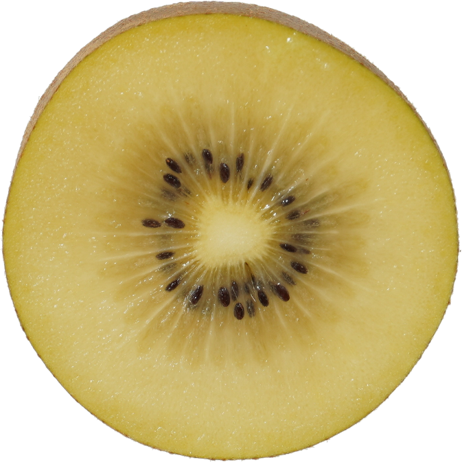 キウイフルーツ（ゴールデンキウイ）｜商用可フリー画像・背景透過